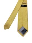 Ultra Royal Yellow Gold Self Textured Mens Tie by F&F