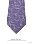 Light Purple with Paisley Design by Charlton Gray