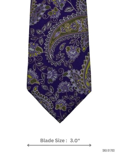 Bold Paisley Pattern Tie for a Vibrant Modern Look